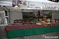 VBS_6148 - Fiera dei Santi - 12.ma Fiera Nazionale del Tartufo